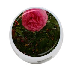 Round Pink Rose 4-port Usb Hub (one Side) by okhismakingart