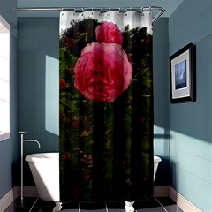 Round Pink Rose Shower Curtain 36  X 72  (stall)  by okhismakingart