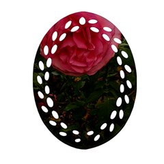 Round Pink Rose Ornament (oval Filigree) by okhismakingart