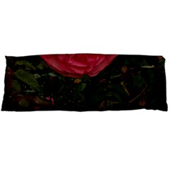 Round Pink Rose Body Pillow Case (dakimakura) by okhismakingart