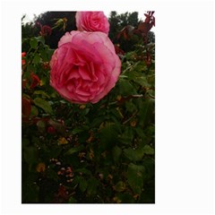 Round Pink Rose Small Garden Flag (two Sides) by okhismakingart