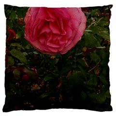 Round Pink Rose Large Cushion Case (two Sides) by okhismakingart