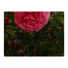 Round Pink Rose Double Sided Flano Blanket (mini)  by okhismakingart