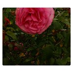 Round Pink Rose Double Sided Flano Blanket (Small)  50 x40  Blanket Front