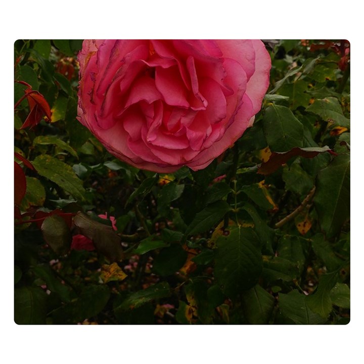 Round Pink Rose Double Sided Flano Blanket (Small) 