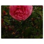 Round Pink Rose Double Sided Flano Blanket (Medium)  60 x50  Blanket Back