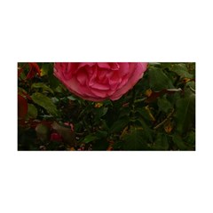 Round Pink Rose Yoga Headband