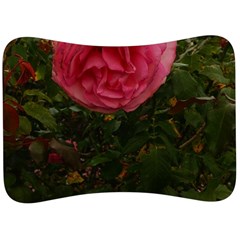 Round Pink Rose Velour Seat Head Rest Cushion by okhismakingart