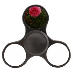 Round Pink Rose Finger Spinner by okhismakingart