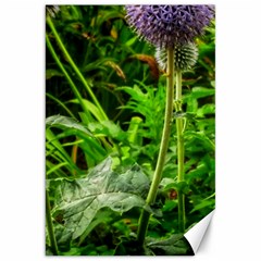 Purple Spherical Flower Canvas 20  X 30  by okhismakingart