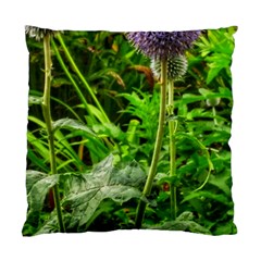 Purple Spherical Flower Standard Cushion Case (two Sides) by okhismakingart