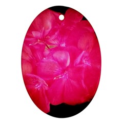 Single Geranium Blossom Ornament (oval) by okhismakingart