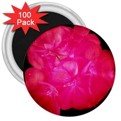 Single Geranium Blossom 3  Magnets (100 Pack) by okhismakingart