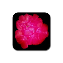 Single Geranium Blossom Rubber Square Coaster (4 Pack)  by okhismakingart