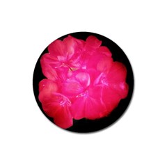 Single Geranium Blossom Magnet 3  (round) by okhismakingart