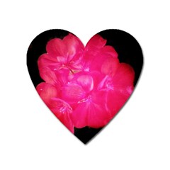 Single Geranium Blossom Heart Magnet by okhismakingart