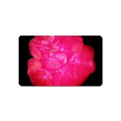 Single Geranium Blossom Magnet (name Card) by okhismakingart