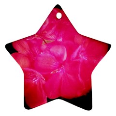 Single Geranium Blossom Star Ornament (two Sides) by okhismakingart