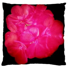 Single Geranium Blossom Large Cushion Case (one Side) by okhismakingart