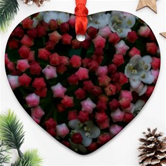 Floral Stars Ornament (Heart)