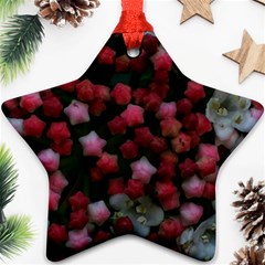 Floral Stars Ornament (Star)