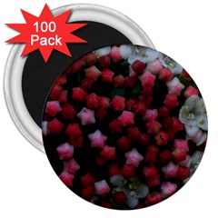 Floral Stars 3  Magnets (100 pack)