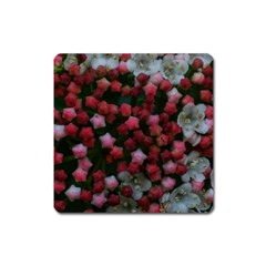 Floral Stars Square Magnet