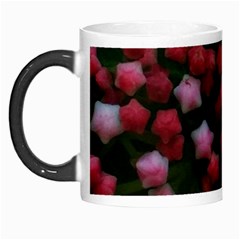 Floral Stars Morph Mugs