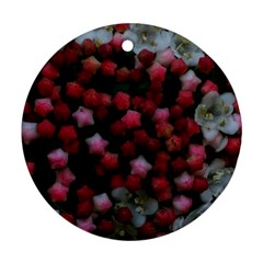 Floral Stars Round Ornament (two Sides) by okhismakingart