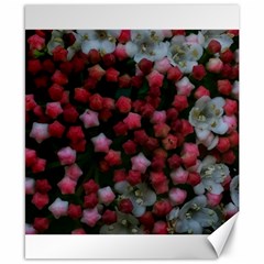 Floral Stars Canvas 8  x 10 