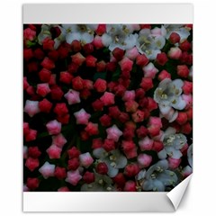 Floral Stars Canvas 16  X 20  by okhismakingart