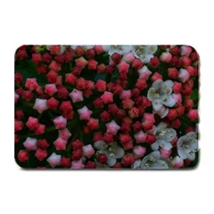 Floral Stars Plate Mats