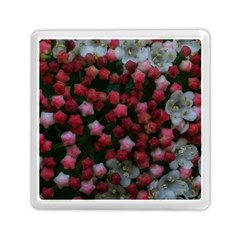 Floral Stars Memory Card Reader (Square)