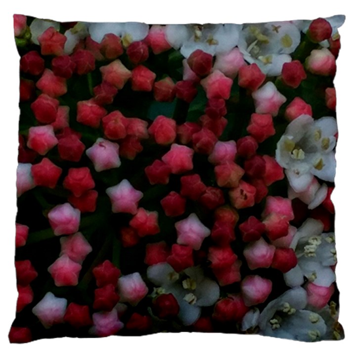 Floral Stars Large Cushion Case (Two Sides)