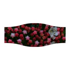 Floral Stars Stretchable Headband by okhismakingart