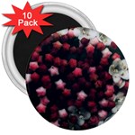 Floral Stars -Dark Red 3  Magnets (10 pack)  Front