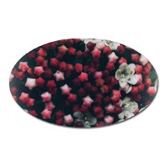 Floral Stars -Dark Red Oval Magnet