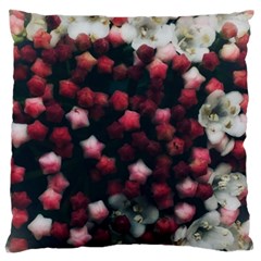 Floral Stars -Dark Red Large Flano Cushion Case (Two Sides)