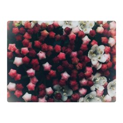 Floral Stars -dark Red Double Sided Flano Blanket (mini) 