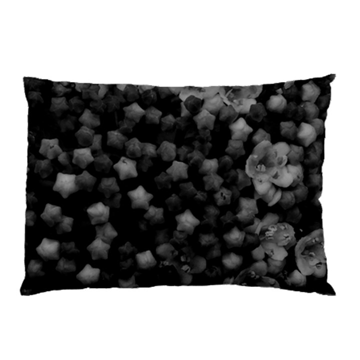 Floral Stars -Black and White Pillow Case (Two Sides)