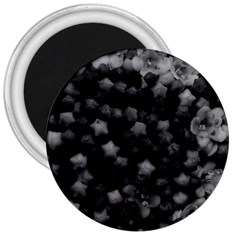 Floral Stars -black And White, High Contrast 3  Magnets by okhismakingart