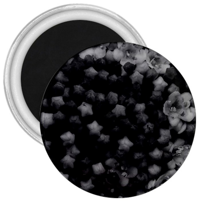 Floral Stars -Black and White, High Contrast 3  Magnets