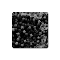 Floral Stars -black And White, High Contrast Square Magnet by okhismakingart