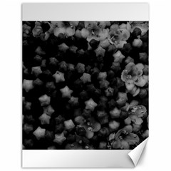 Floral Stars -black And White, High Contrast Canvas 12  X 16  by okhismakingart