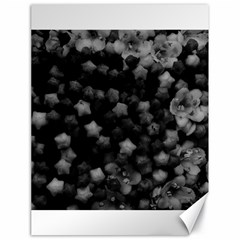 Floral Stars -black And White, High Contrast Canvas 18  X 24  by okhismakingart