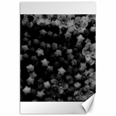 Floral Stars -black And White, High Contrast Canvas 20  X 30  by okhismakingart