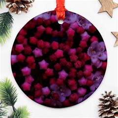 Floral Stars -purple Ornament (round) by okhismakingart