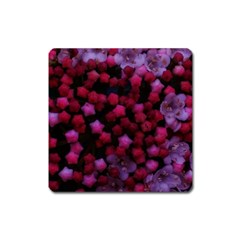 Floral Stars -purple Square Magnet by okhismakingart