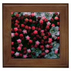 Floral Stars -bright Framed Tiles by okhismakingart