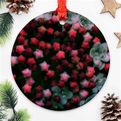 Floral Stars -bright Round Ornament (two Sides) by okhismakingart